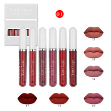 Hot Sale Waterproof Long Lasting 6 Pcs Set Matte Liquid Lipstick for Makeup